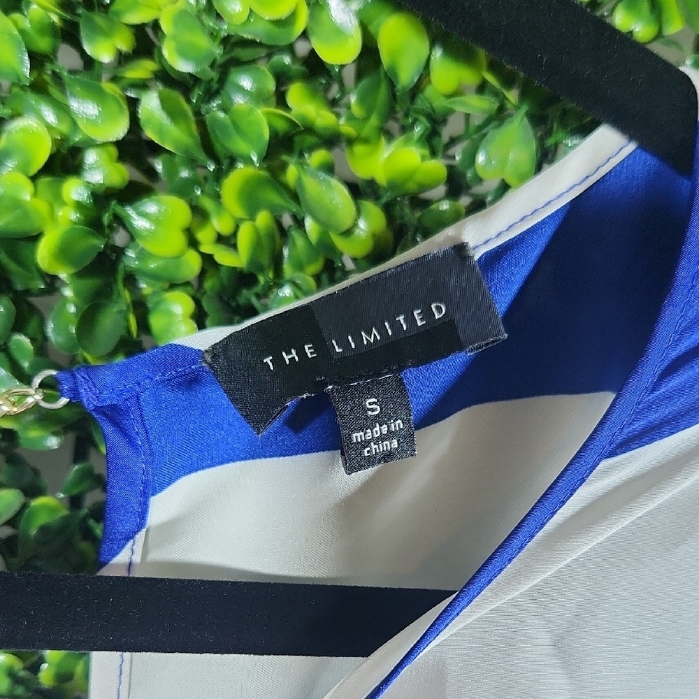 The Limited Blue White Striped Boxy Short Sleeve Tee - Picture 2 of 9